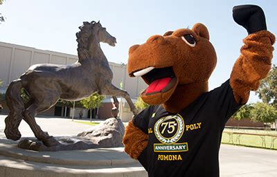 Cal Poly Pomona College's Mascot: A Symbol of Pride and Teamwork